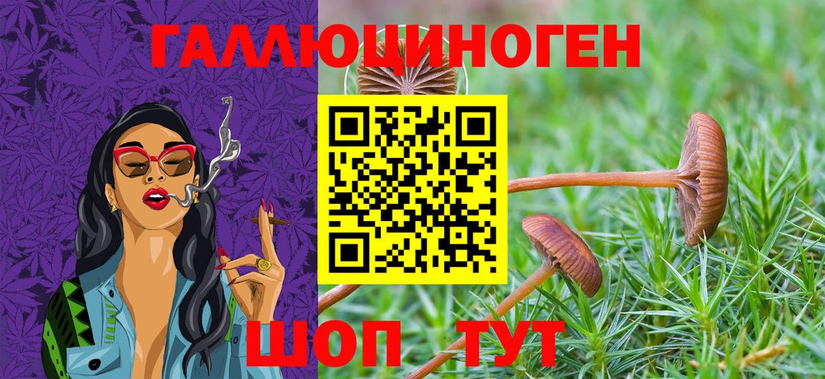 Моршанск  Галлюциногенные грибы мухоморы  Вход с VPN  Галлюциногенные грибы мухоморы 