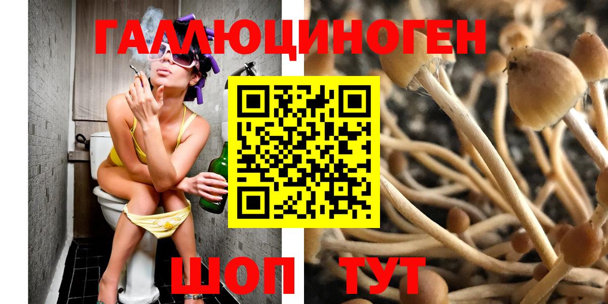 Галлюциногенные грибы прущие грибы Моршанск